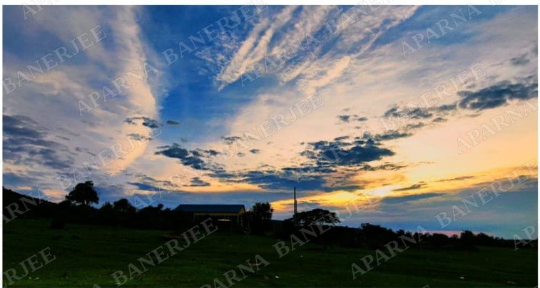 Blushing Sky