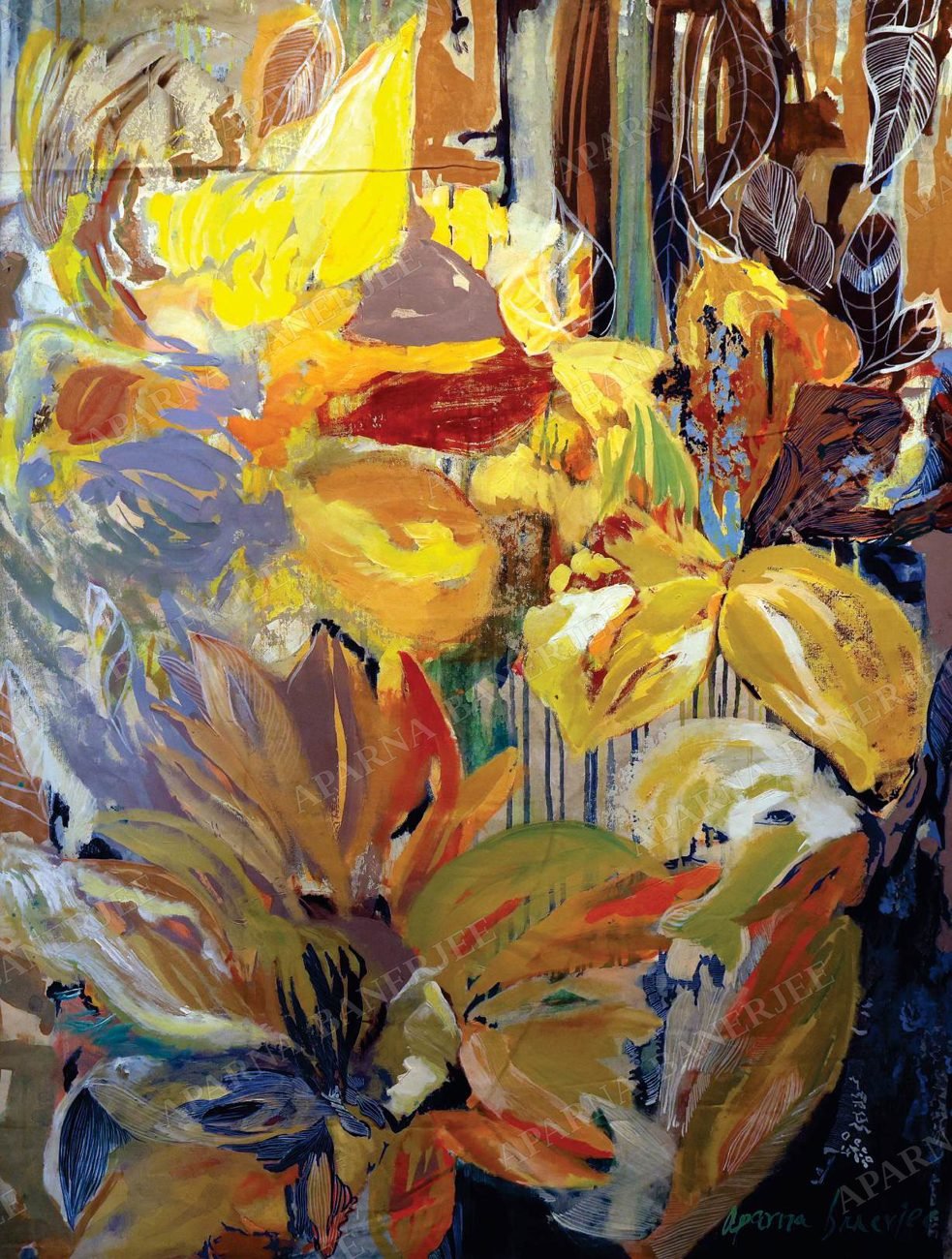 Lily Light