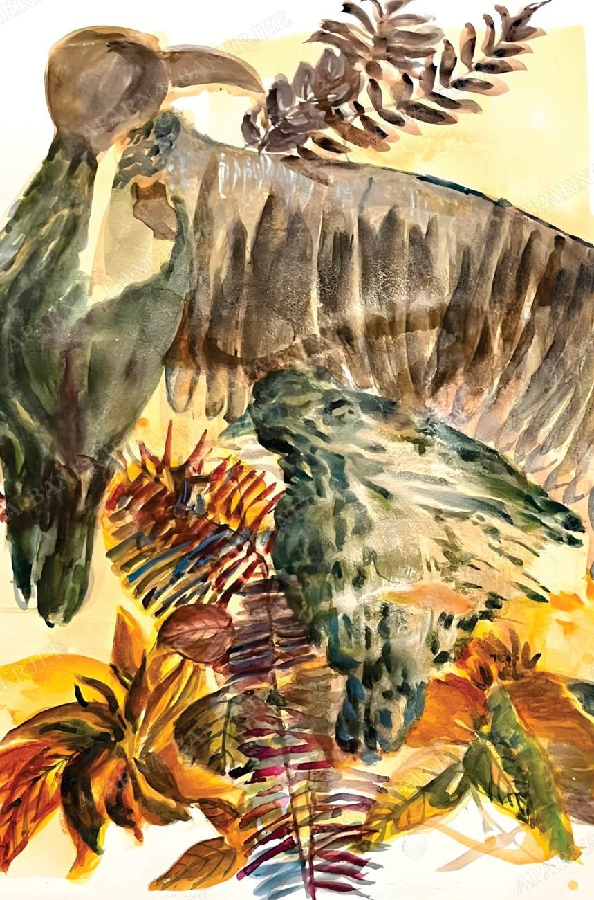Pheasant Study